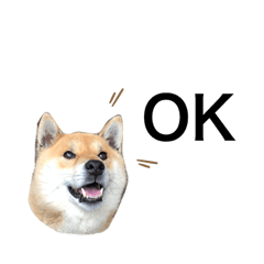 [LINEスタンプ] しんのすけと、ももスタンプ02