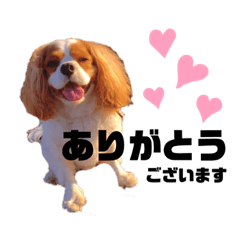 [LINEスタンプ] しなもんぺんねちーず