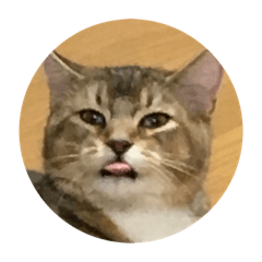 [LINEスタンプ] たびボーイ 2