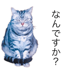 [LINEスタンプ] ピツオくん