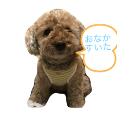 [LINEスタンプ] もこなか