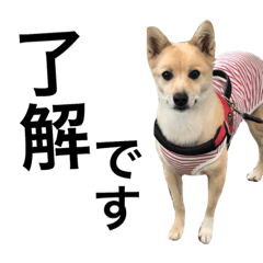 [LINEスタンプ] わたし、good girl