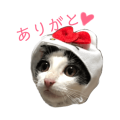 [LINEスタンプ] 八兵衛スタンプ
