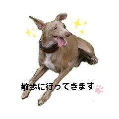 [LINEスタンプ] 船乗りの犬3(イタグレ春＆朔)
