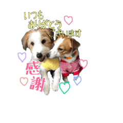 [LINEスタンプ] リサとマコ☆パール