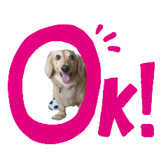 [LINEスタンプ] ダックスエルのファンタジー⭐