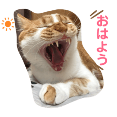 [LINEスタンプ] クレープのスタンプ