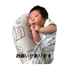 [LINEスタンプ] しろなの世界