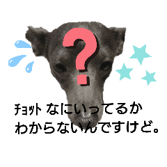 [LINEスタンプ] わんだふる。。