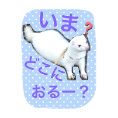 [LINEスタンプ] そららんの日常スタンプ