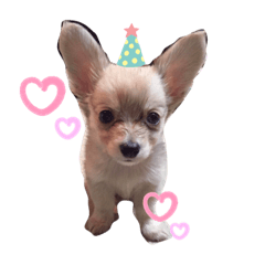 [LINEスタンプ] モナるんるん♡