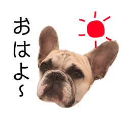 [LINEスタンプ] sherrystamp