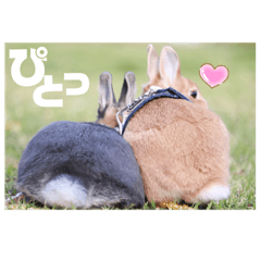 [LINEスタンプ] 句読点コンビ②ひとこと編