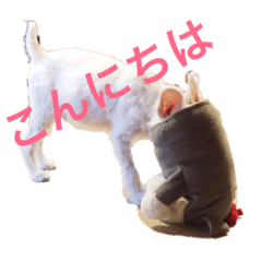[LINEスタンプ] 今日のすあま③