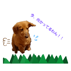 [LINEスタンプ] ミニチュアダックスフンドのジェリー