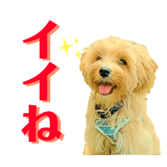 [LINEスタンプ] ルーのスタンプ02
