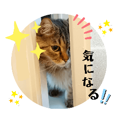 [LINEスタンプ] ライルのスタンプ