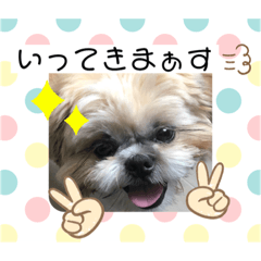 [LINEスタンプ] 小太郎のあいさつ3❤︎"