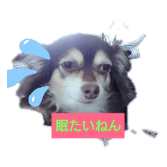 [LINEスタンプ] もんろーさん