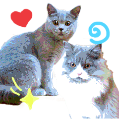 [LINEスタンプ] ねこで会話スタンプ