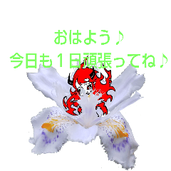 [LINEスタンプ] 小悪魔ちゃんロチワチワーダー