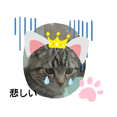 [LINEスタンプ] おお！可愛いスタンプ