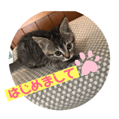 [LINEスタンプ] やしゃまるとJILL