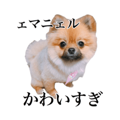 [LINEスタンプ] ェマニエル②