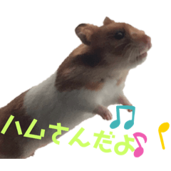 [LINEスタンプ] ハムさんだよ