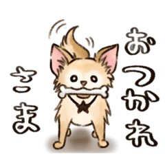 [LINEスタンプ] ちわたの日常
