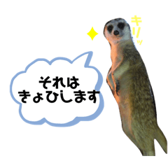 [LINEスタンプ] ちょこちまもなうい