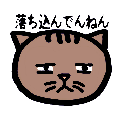 [LINEスタンプ] 方言ねこ日常(大阪弁)