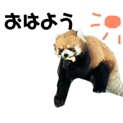 [LINEスタンプ] 動物たちの日常スタンプ！