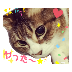 [LINEスタンプ] きまぐれしゃちょさん☆