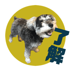 [LINEスタンプ] もなもなもなかちゃん