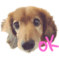 [LINEスタンプ] ピーススタンプ
