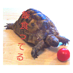 [LINEスタンプ] リクの主張