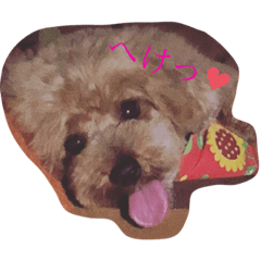 [LINEスタンプ] 来たる夢