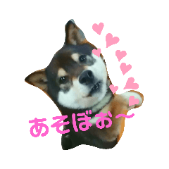 [LINEスタンプ] 小次郎スタンプ②