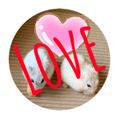[LINEスタンプ] ハムちゃんズの 笑笑 ご挨拶