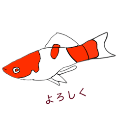 [LINEスタンプ] トロピカルフィッシュ