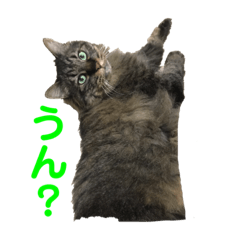 [LINEスタンプ] 武蔵小次郎おまけの姫ちゃん part.2
