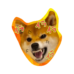 [LINEスタンプ] 柴たん2