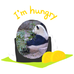 [LINEスタンプ] 使える動物シリーズ
