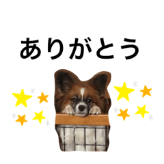 [LINEスタンプ] くんた