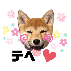 [LINEスタンプ] 豆柴るるかんpart2