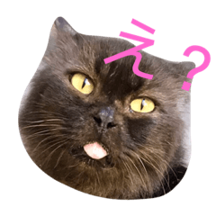 [LINEスタンプ] のんヒュースタンプ