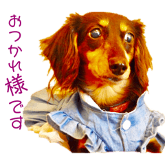 [LINEスタンプ] べるたんの日常5