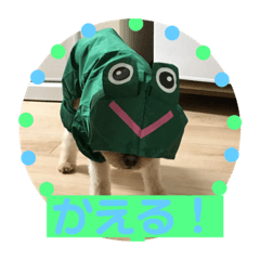 [LINEスタンプ] サスケの日常4