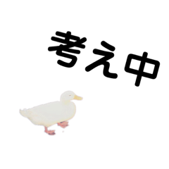 [LINEスタンプ] おもしろふぁみり